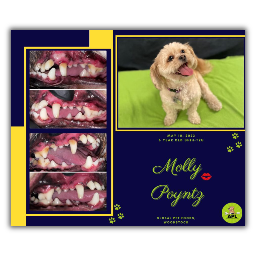 Global Pet Foods Woodstock