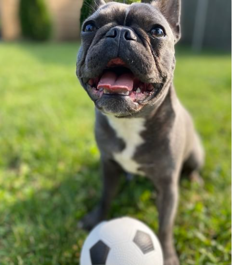 Molly - February 2024