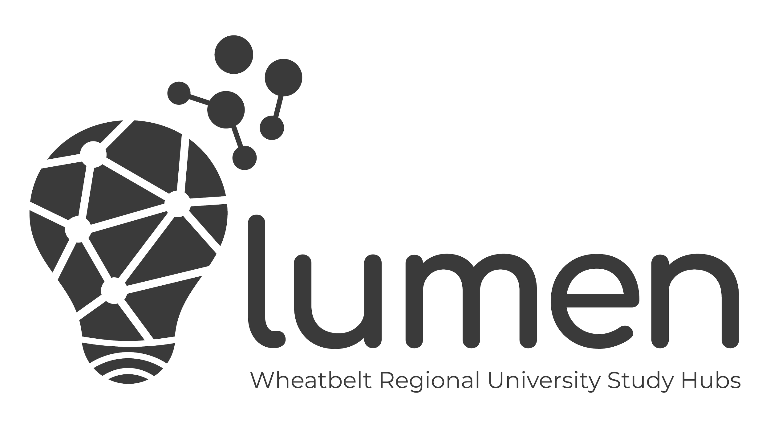 Lumen_Primary Logo_Mono.png