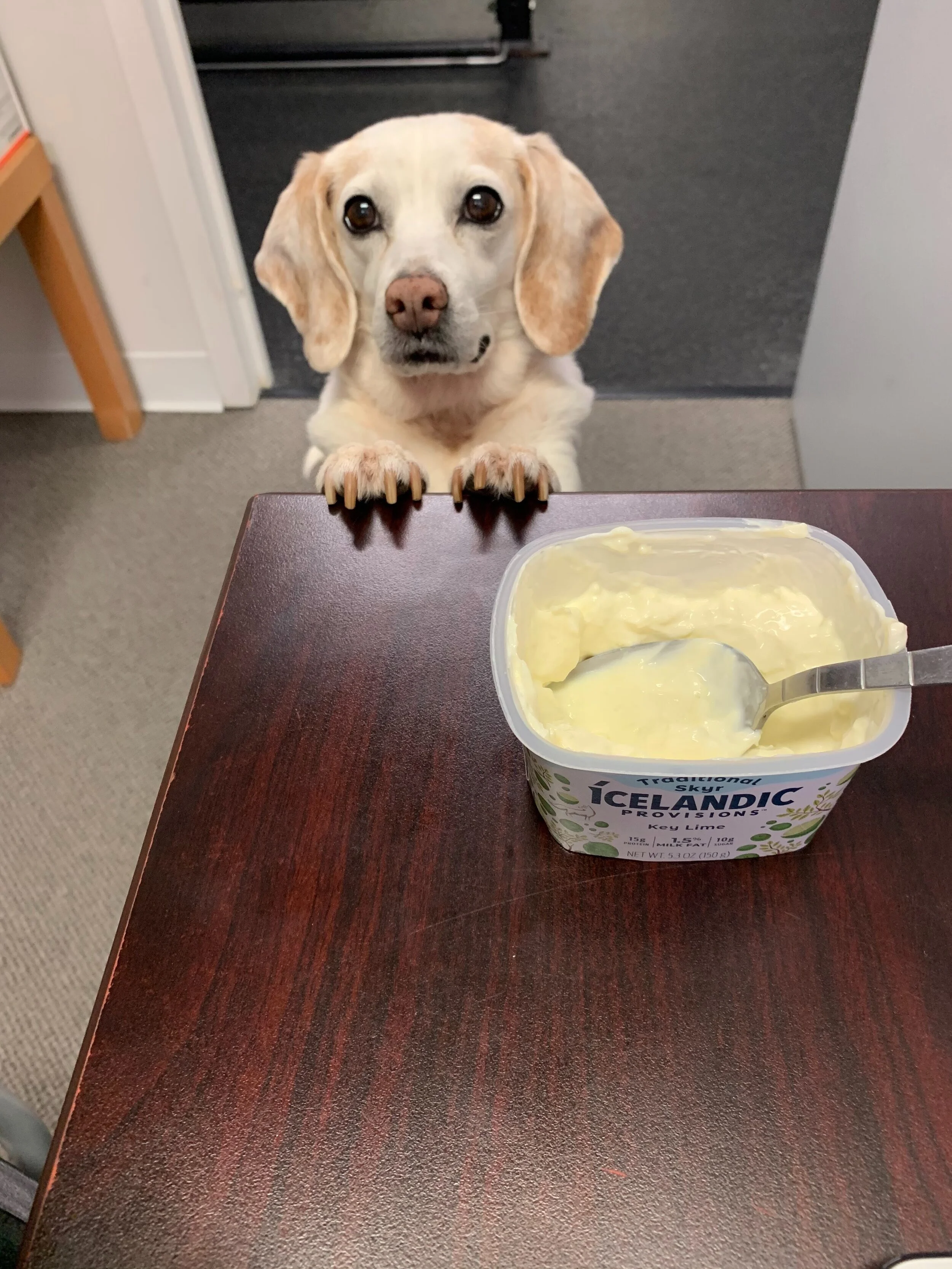 An Ethical Eater's Guide To Getting Protein