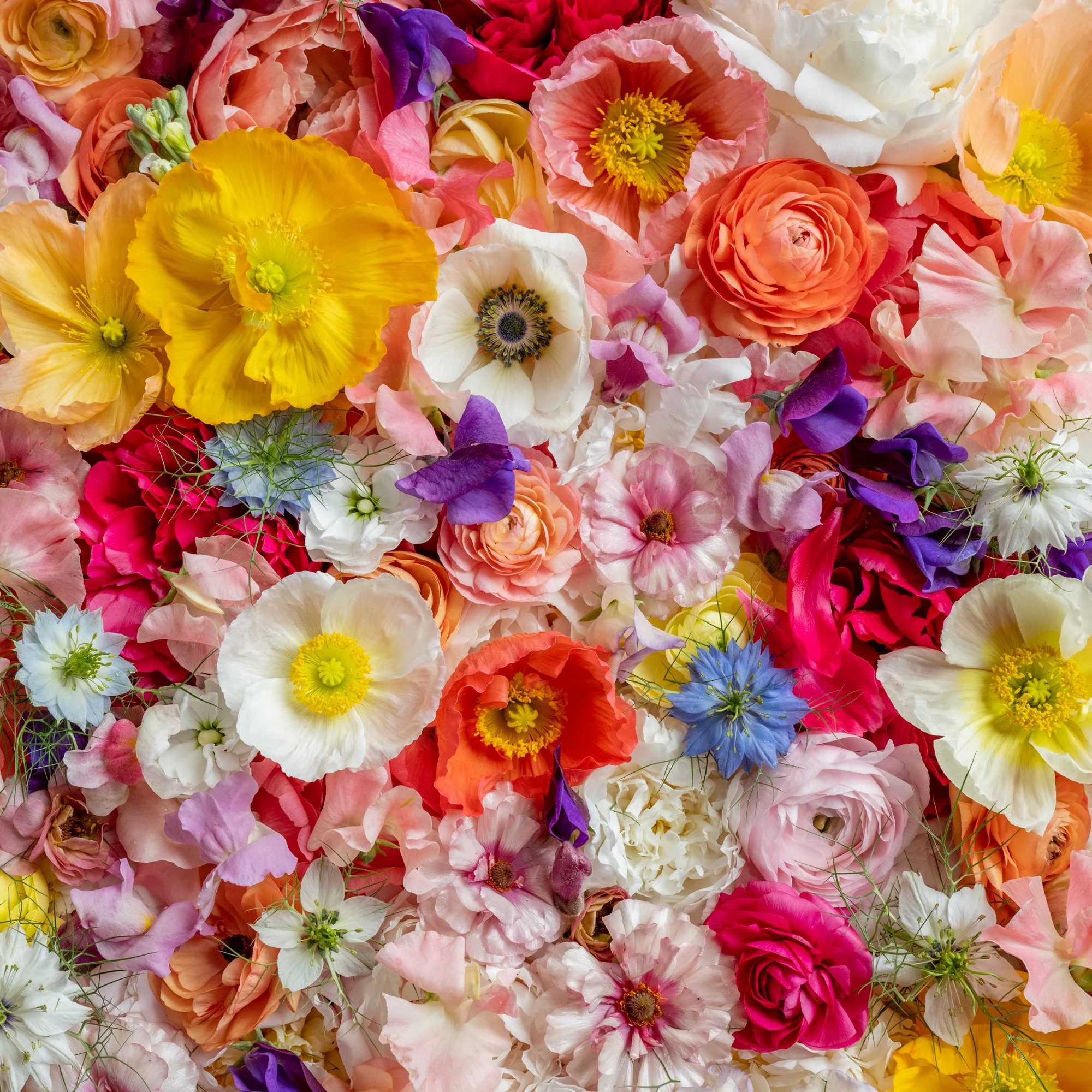 _DSC0064 (1) - Copy.jpg