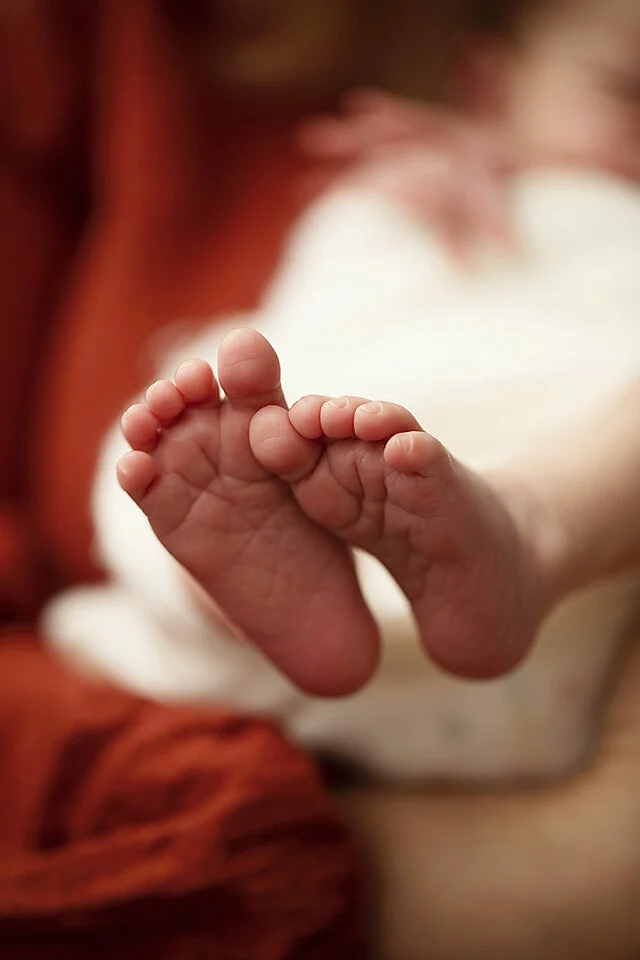 Hawkesbury newborn photographer_99.jpg