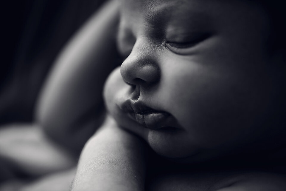 Hawkesbury newborn photographer_48.jpg