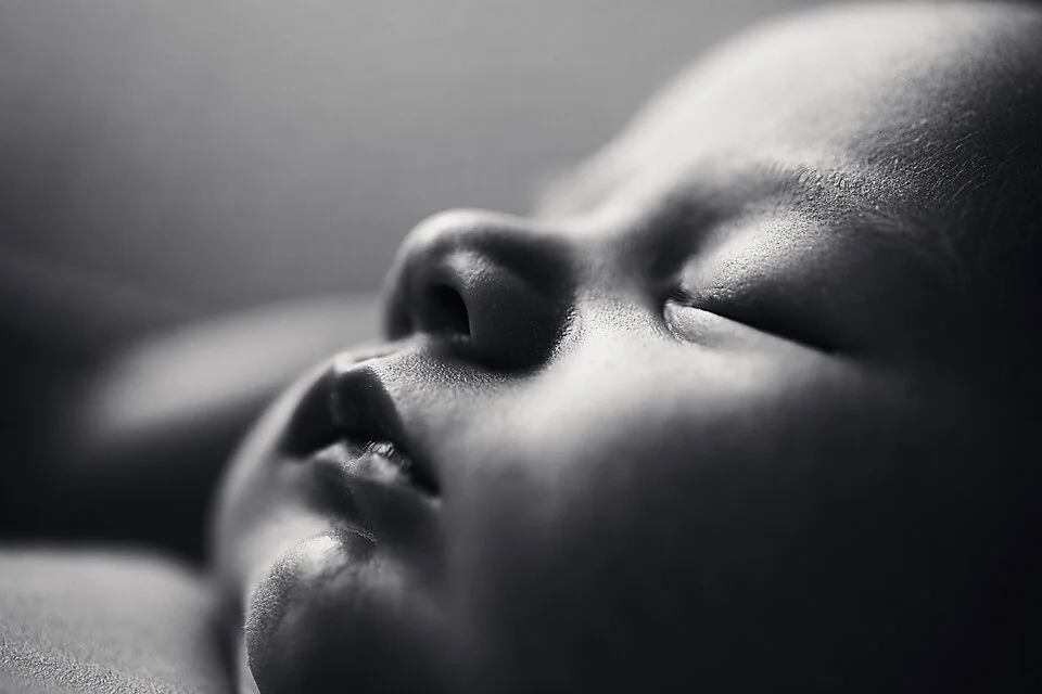 Hawkesbury newborn photographer_84.jpg