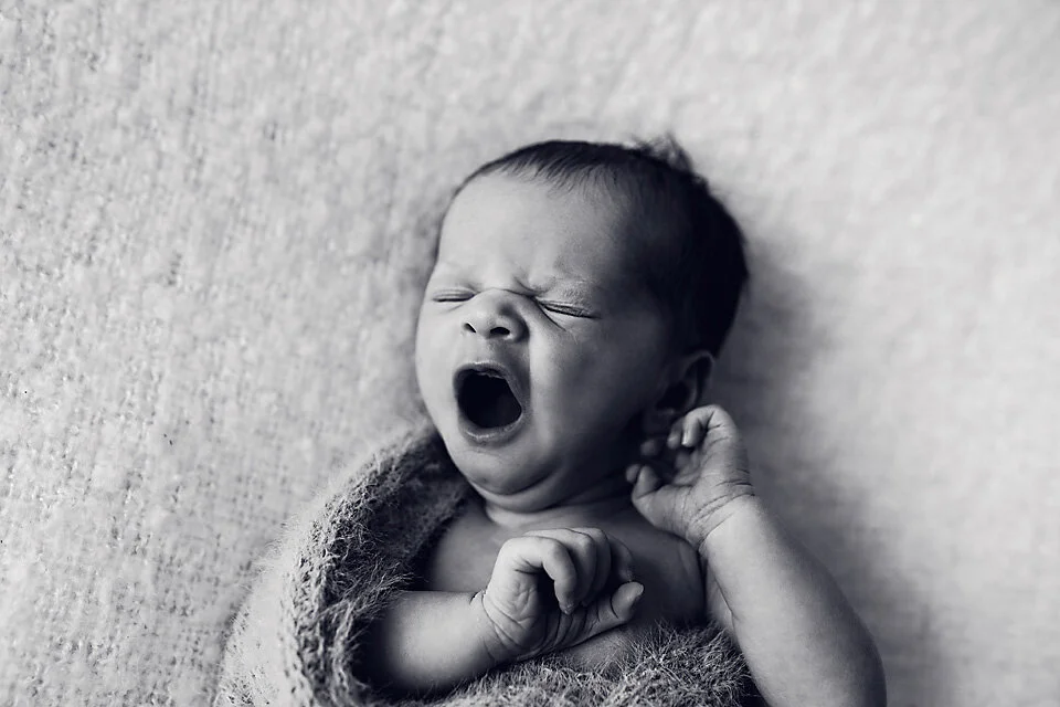 Hawkesbury newborn photographer_24.jpg