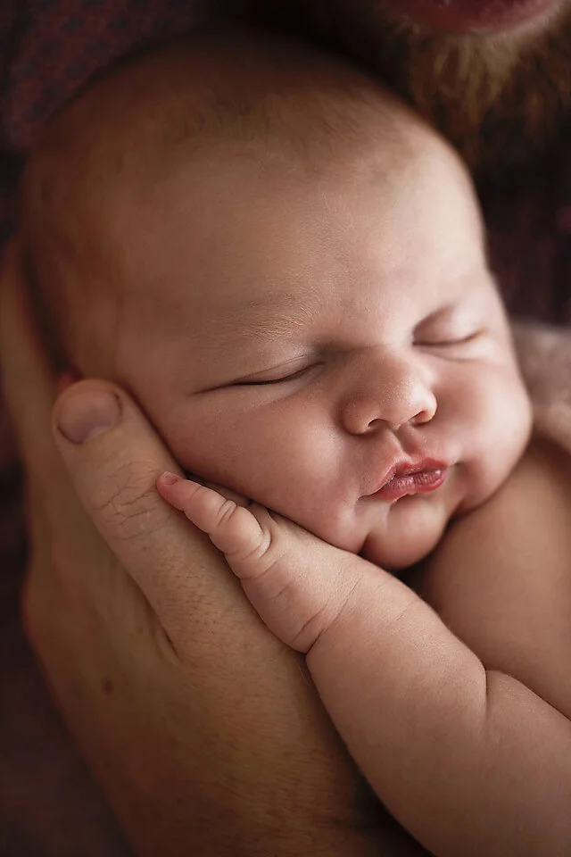 Hawkesbury newborn photographer_67.jpg
