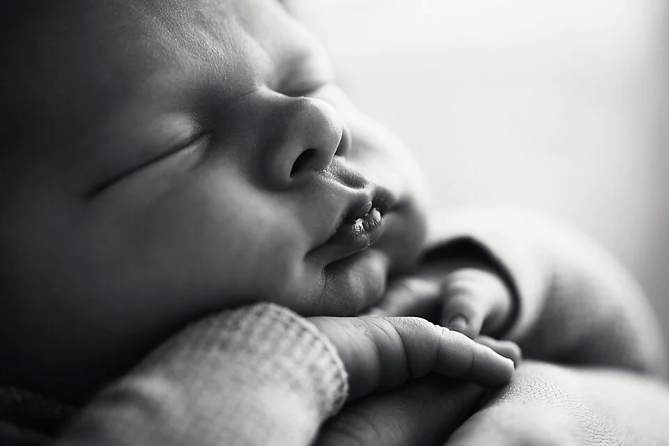 Hawkesbury newborn photographer_88.jpg