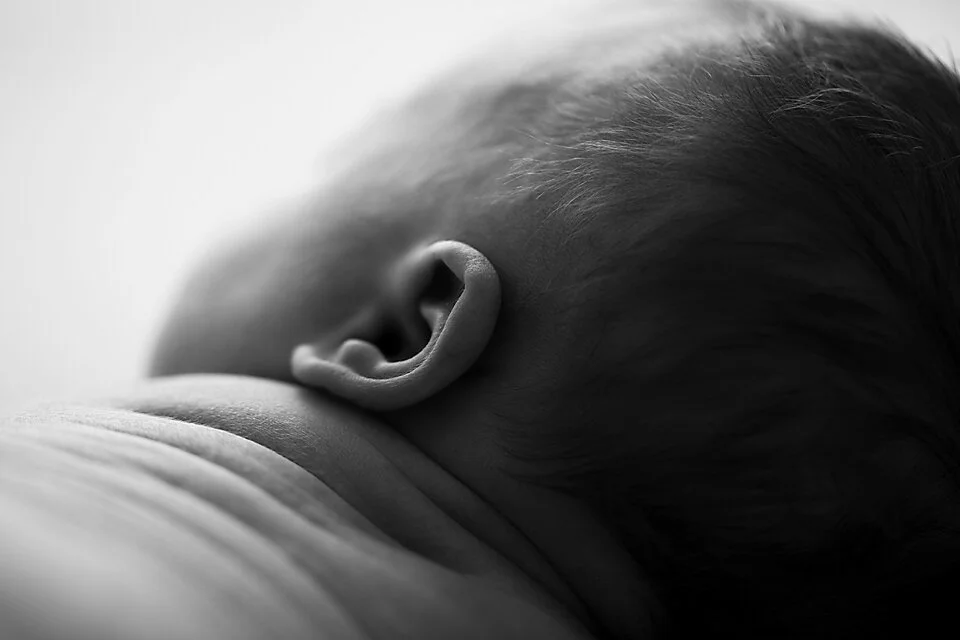Hawkesbury newborn photographer_92.jpg