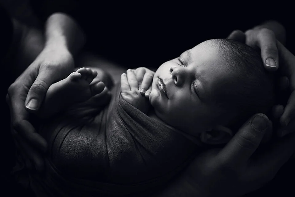 Hawkesbury newborn photographer_54.jpg