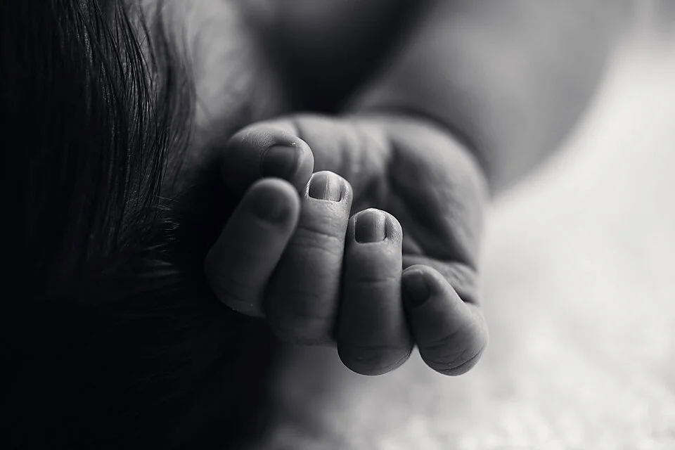 Hawkesbury newborn photographer_62.jpg