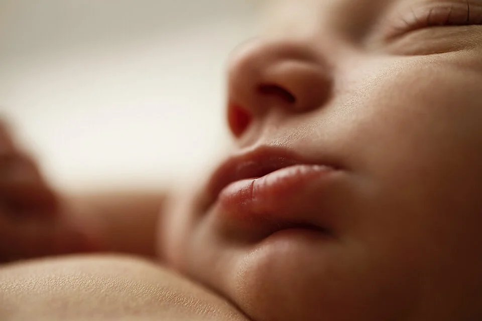 Hawkesbury newborn photographer_97.jpg