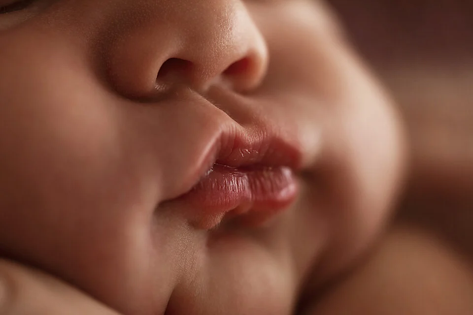 Hawkesbury newborn photographer_71.jpg