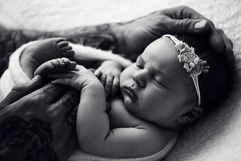 Hawkesbury newborn photographer_50.jpg