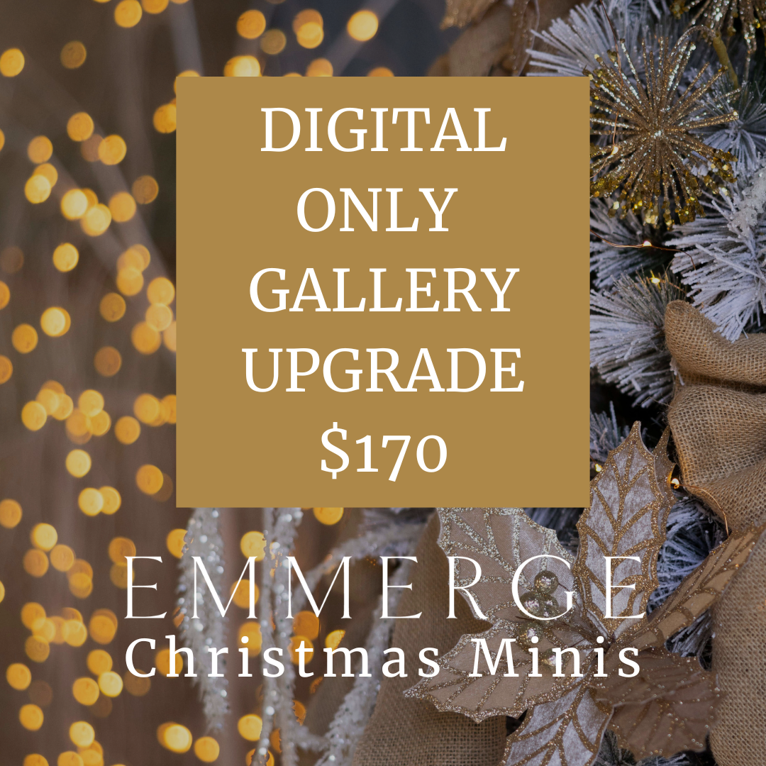 Digital Only Upgrade.png