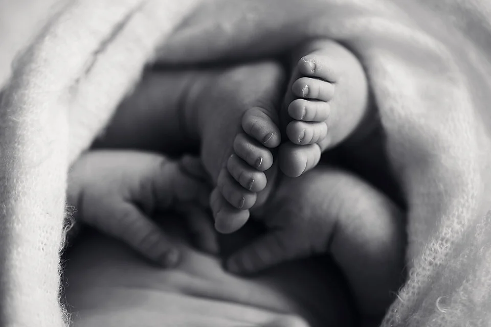 Hawkesbury newborn photographer_78.jpg