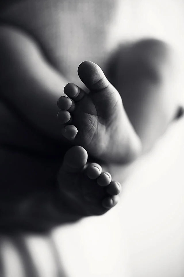 Hawkesbury newborn photographer_14.jpg