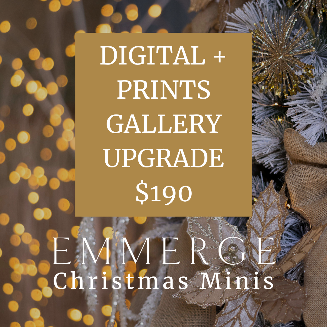 Digital + Prints Upgrade.png