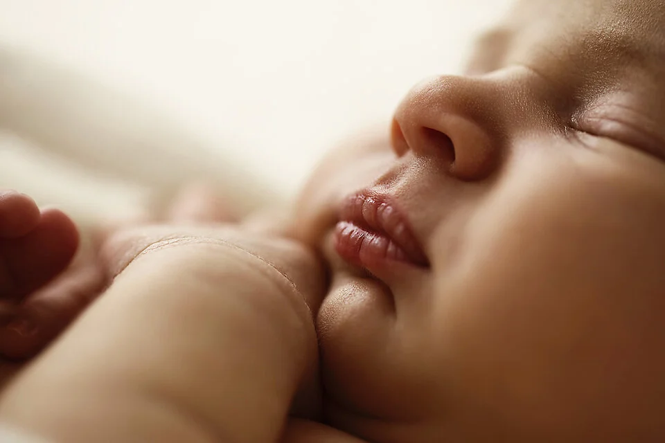 Hawkesbury newborn photographer_81.jpg