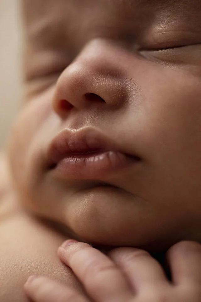 Hawkesbury newborn photographer_35.jpg