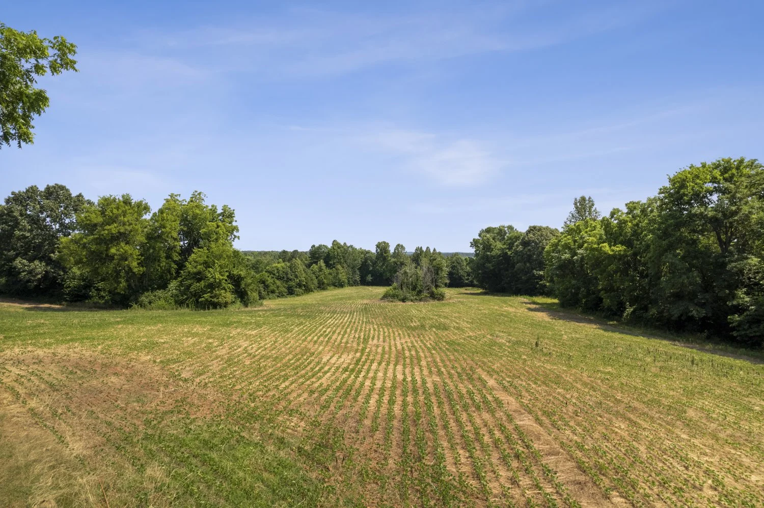 479 Francisco Road-48.jpg