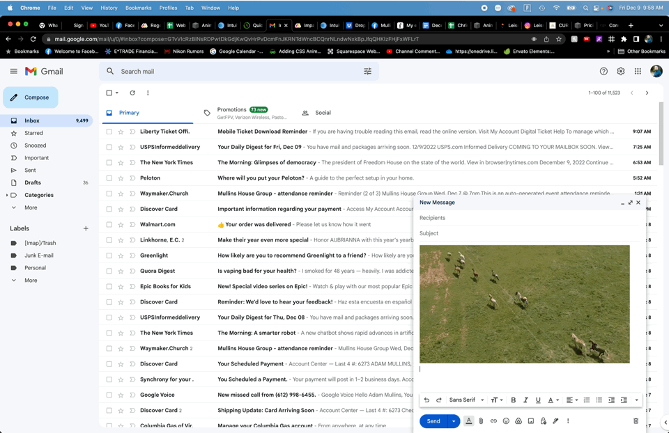 Gmail inbox with various unread emails and a new email being composed with an image attachment of horses running in a field.