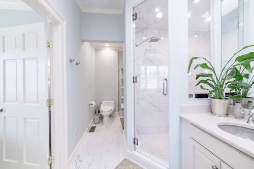 A modern white bathroom with a glass shower enclosure, a toilet, and a countertop with a sink and green potted plants. The walls are light-colored, and there's a bright, clean ambiance with natural light.