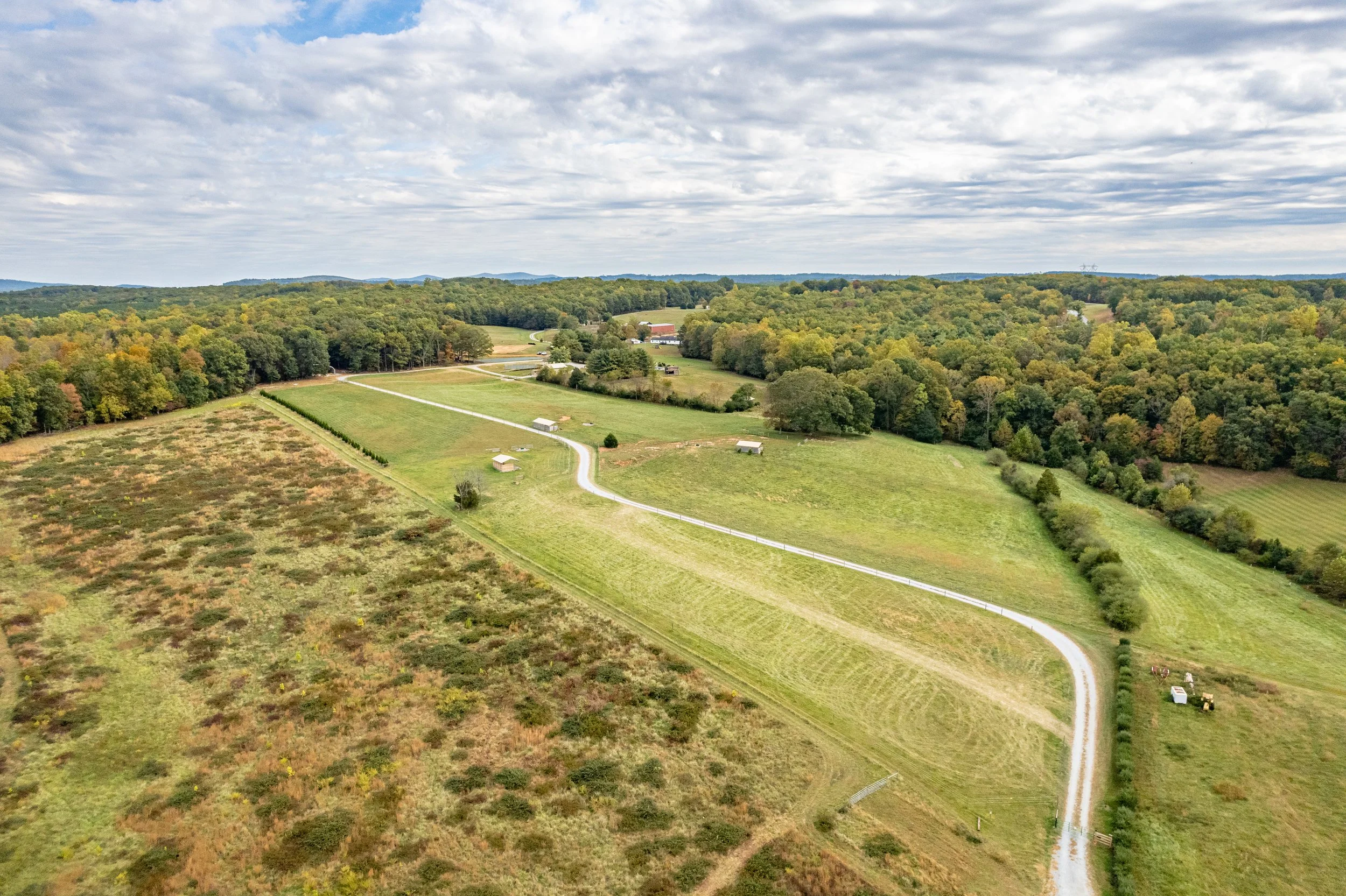 225 Cattle Ln-12.jpg