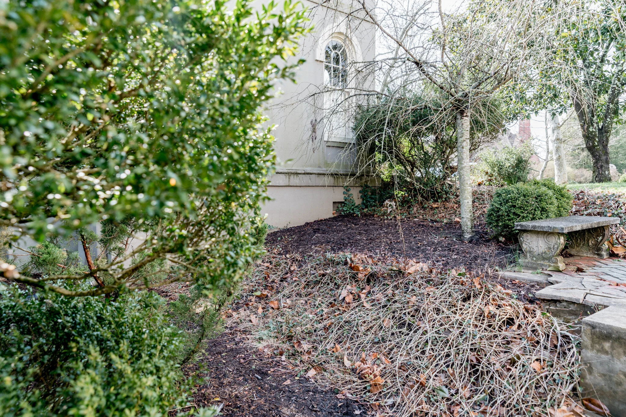 Garden area with green shrubs, dried leaves, tree, and a stone bench near a building.