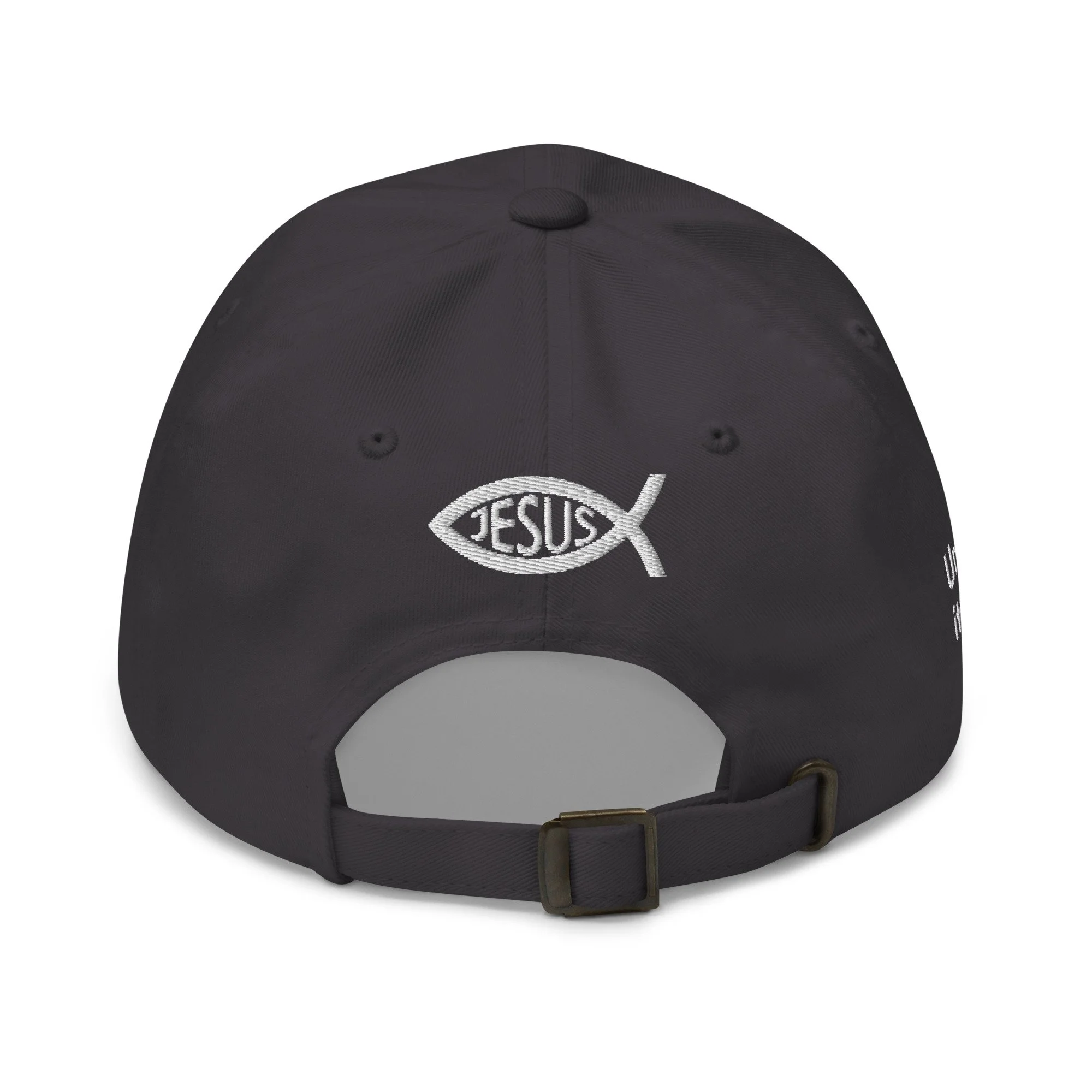 classic-dad-hat-dark-grey-back-64920d4145b6f.jpg
