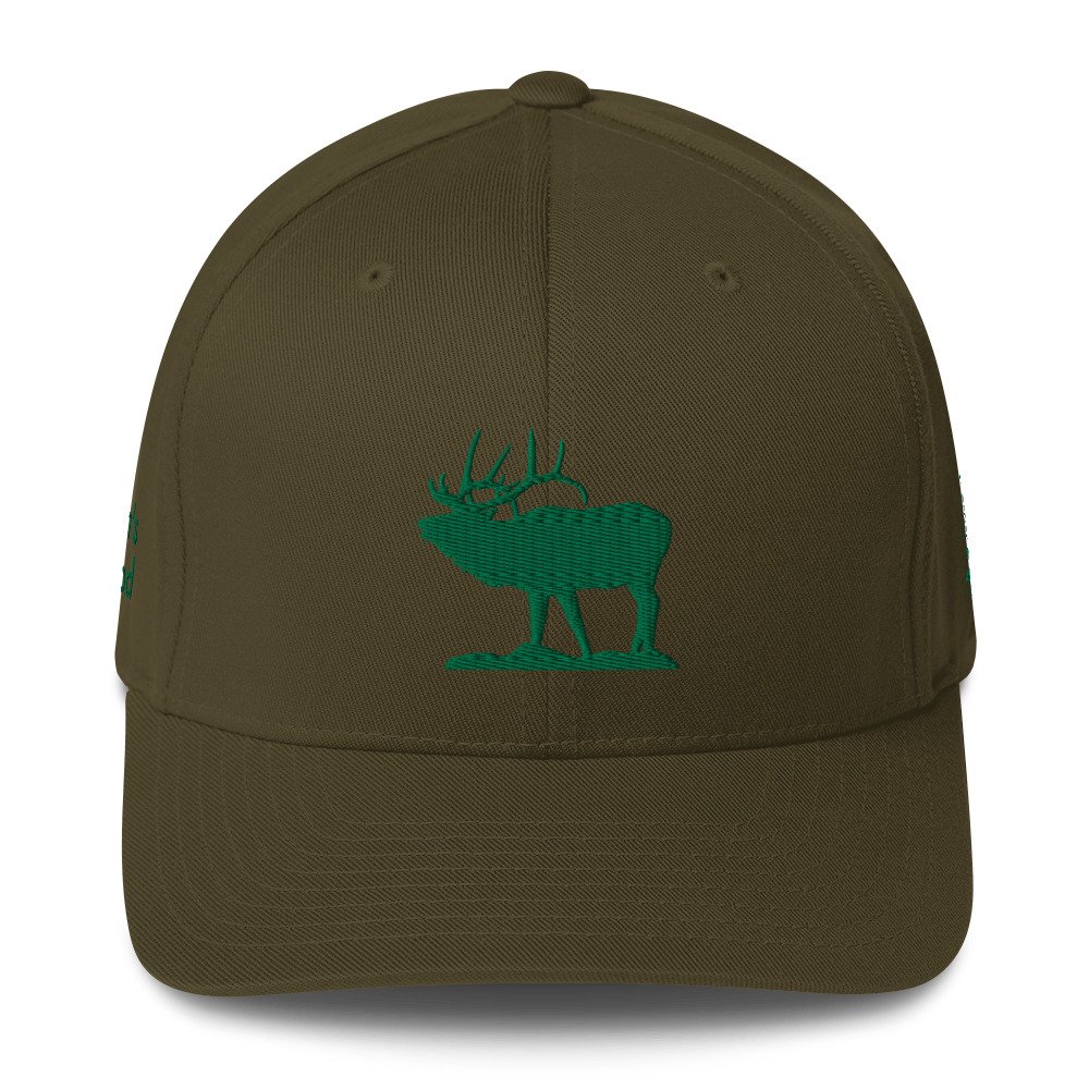 closed-back-structured-cap-olive-front-66e839d07ff66.jpg