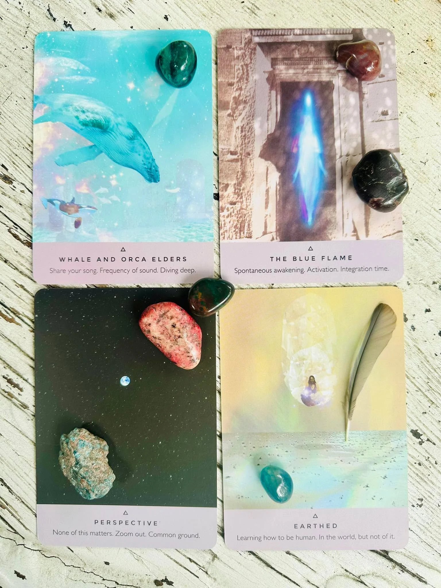 🌙 Cold Moon Clarity ✨

Tonight&rsquo;s Super Full Moon in Gemini is the last lunar culmination of 2025, and honey, she&rsquo;s calling your bluff.

I pulled four cards from the Starseed Oracle to see what this cosmic mama wants us to know:

🐋 The I