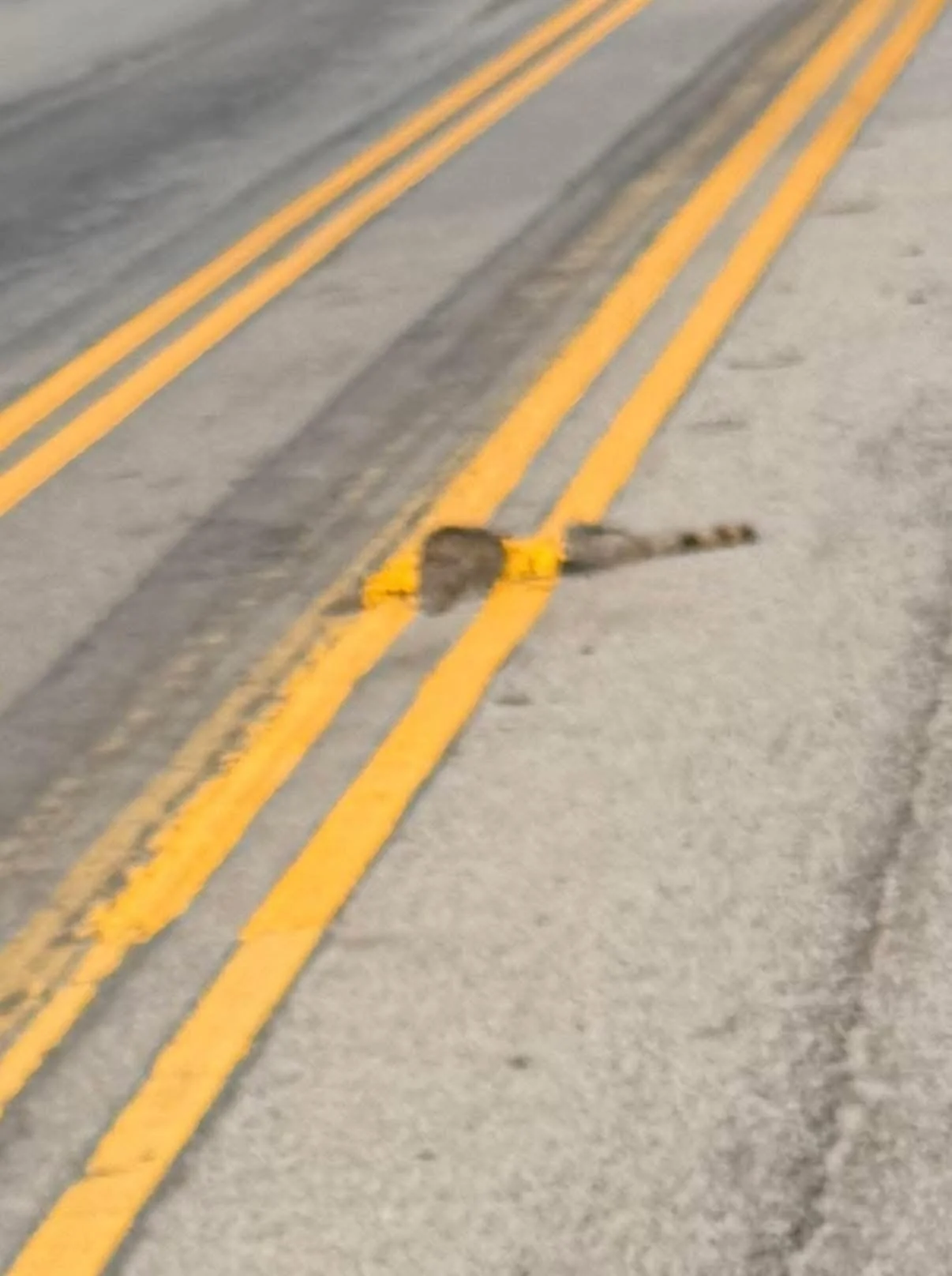 &ldquo;Not my job Bob&rdquo; 🛣️🖤

Fresh lines right over a dead raccoon on a street near me. (Ladson, SC)

That&rsquo;s what happens when you try to fix your life without doing the shadow work first.

You can paint over the mess all you want. That 