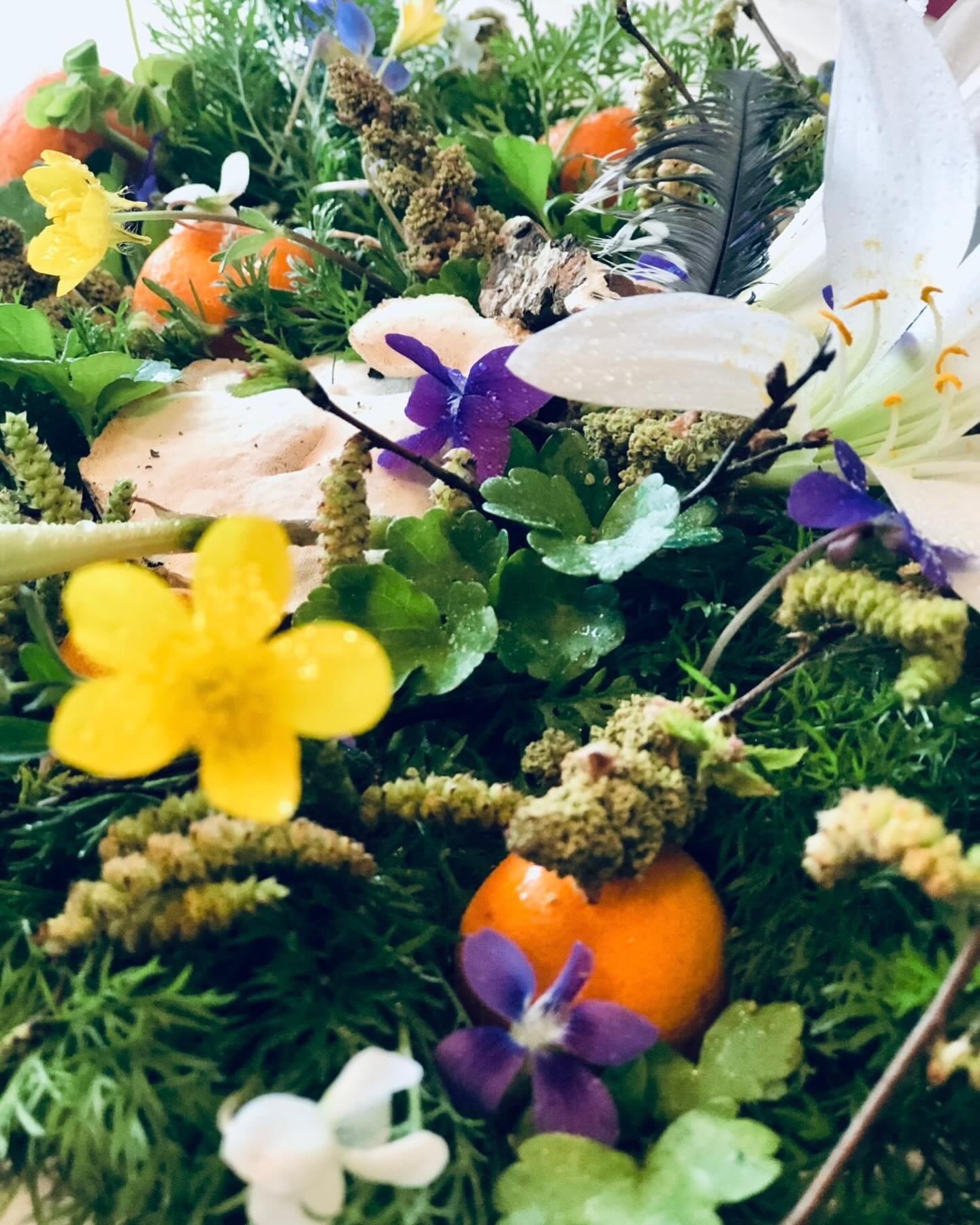 🌸✨ Happy Eostre, Ostara, Spring Equinox! ✨🌸

Today, the Earth stands in perfect balance. Equal light. Equal dark. 💫

The return of light doesn&rsquo;t mean winter didn&rsquo;t matter. It means you carried it, survived it, and now you get to bloom 