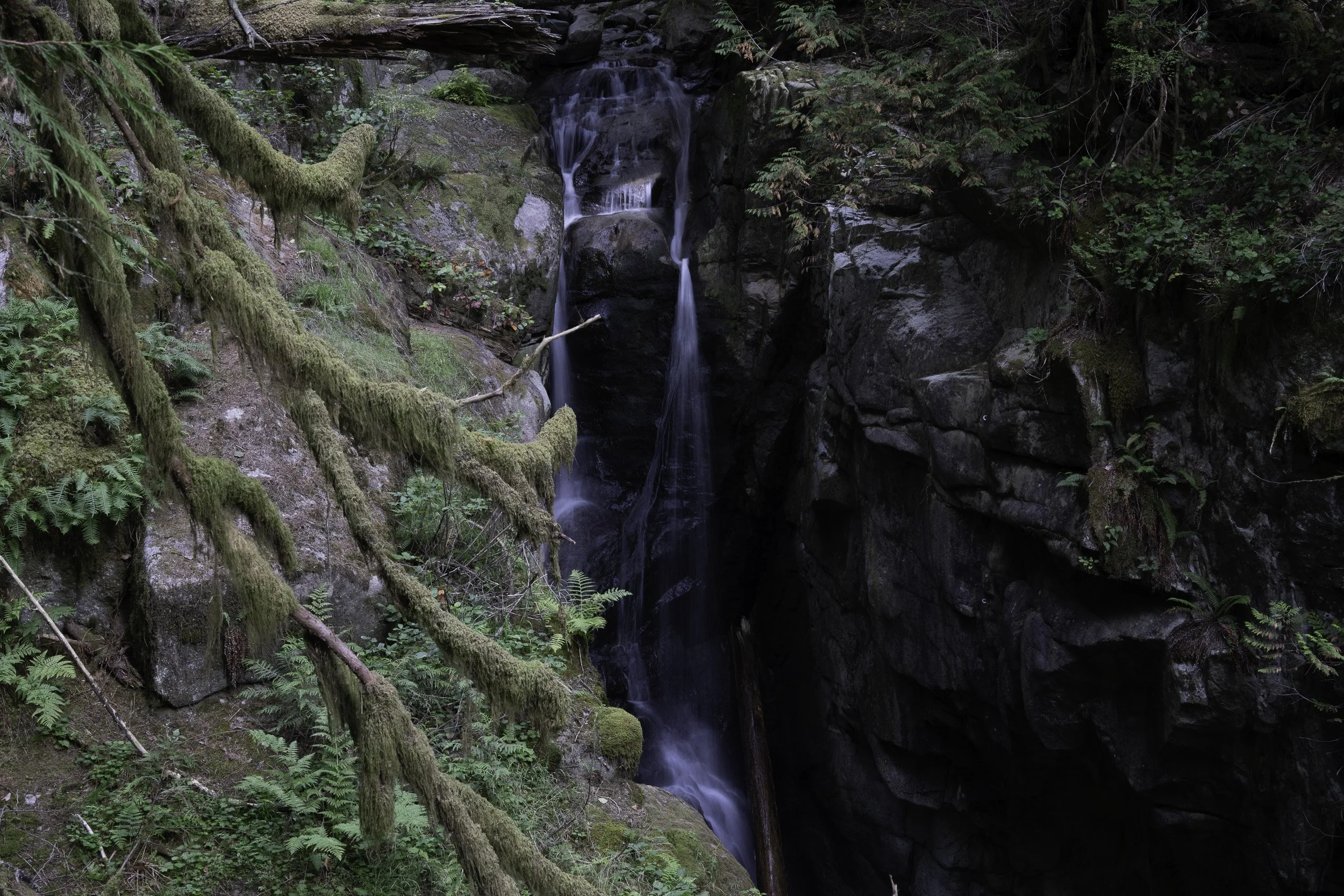 _DSC6858.jpg