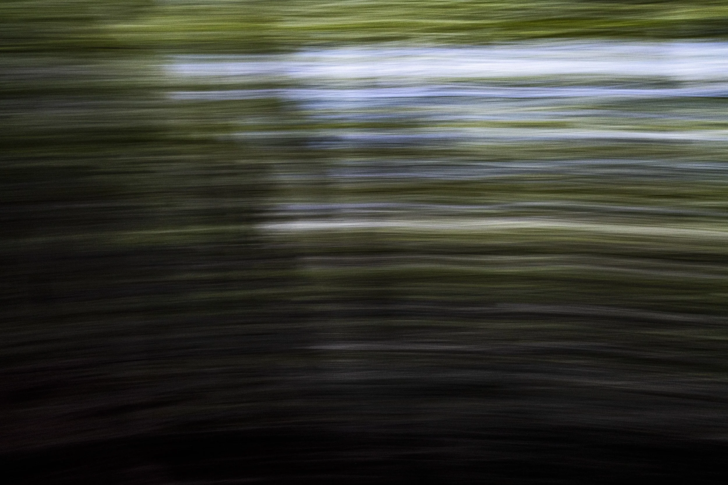 20220613_fotokurs rasa_L1190103.jpg