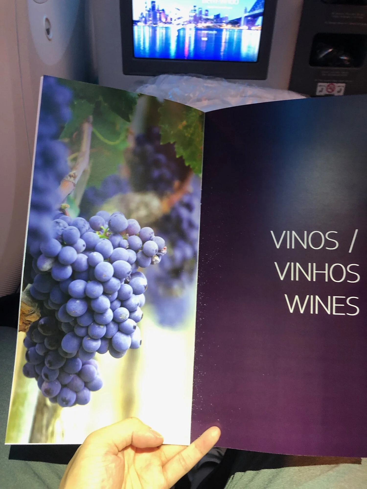 LATAM Airlines Business Class Wine List MIA-SCL
