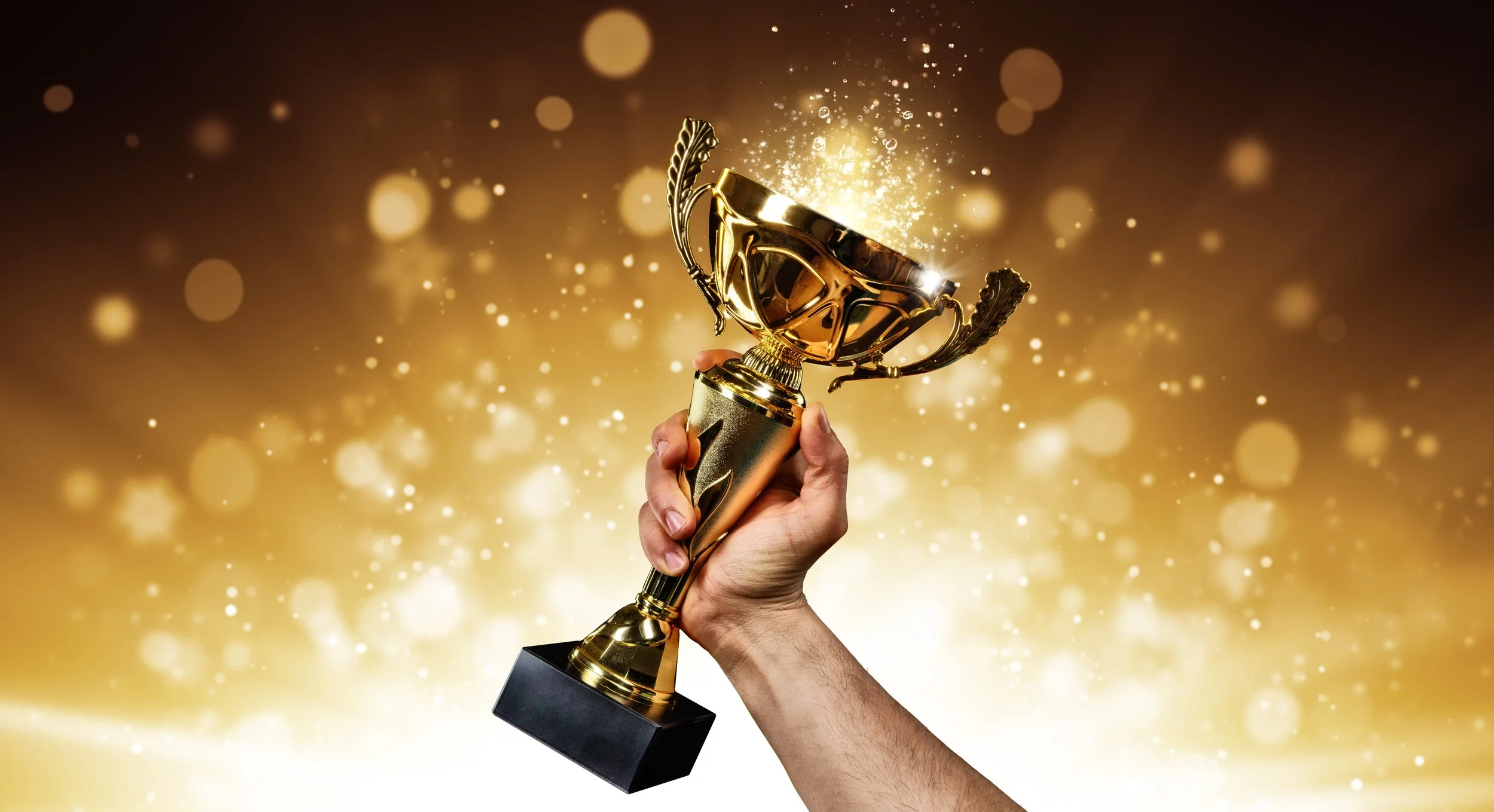 Storm, Norm, Perform… and Grow — When Ambition and Excellence Drive Business Expansion
