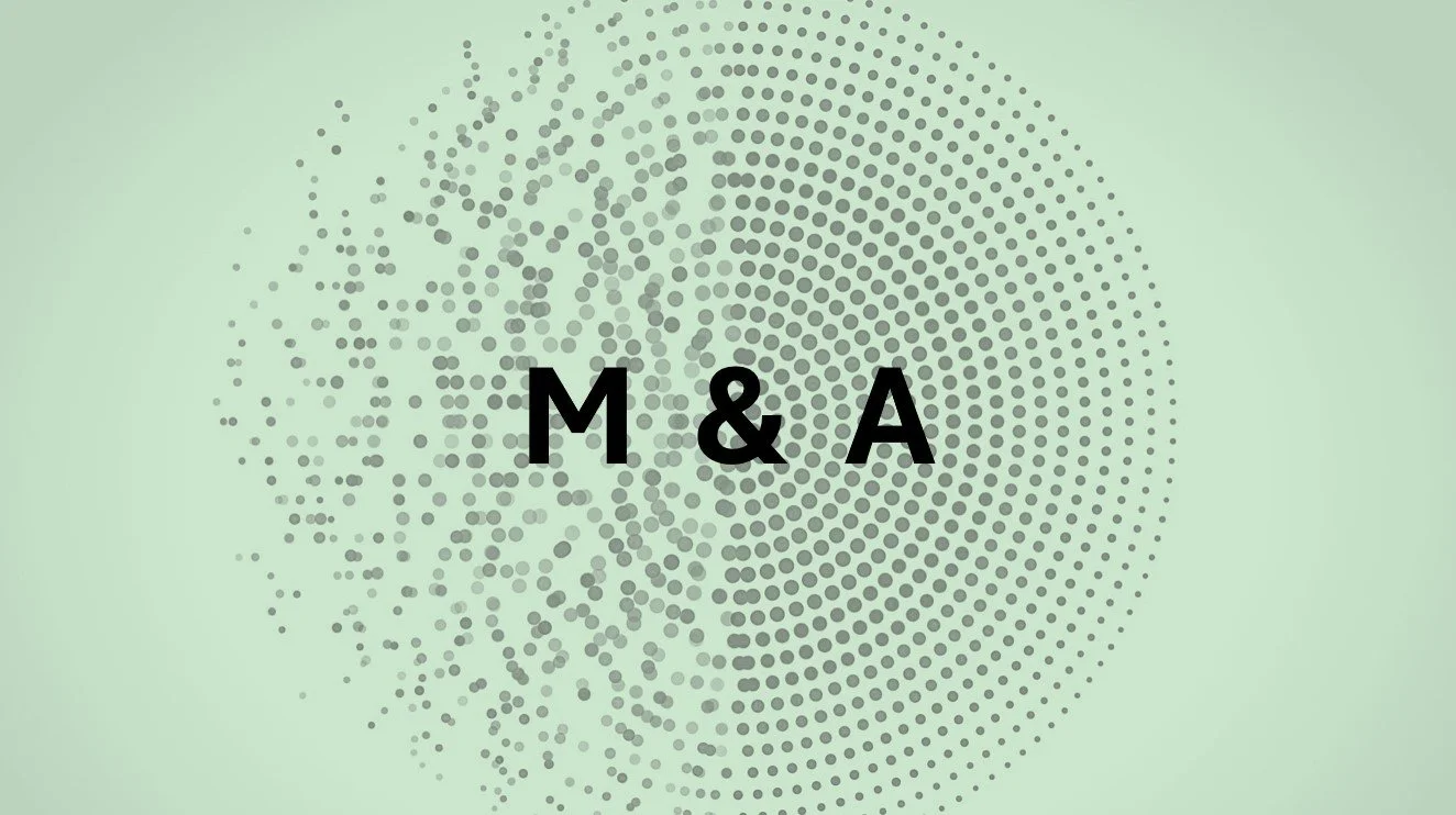 Global M&A Leader Increases Business Velocity via Automation