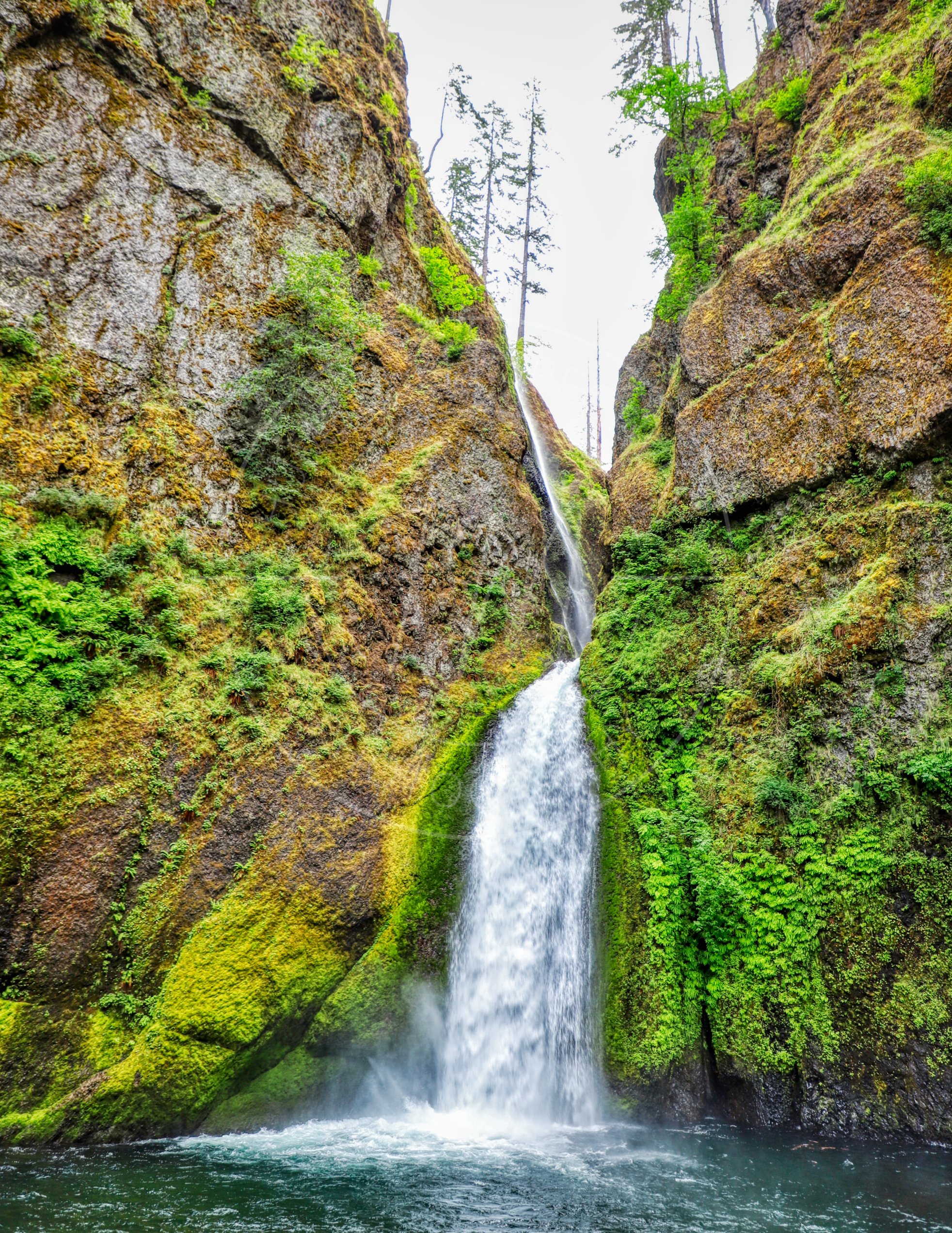 IMG_5011_Wahclella Falls Bottom.jpg
