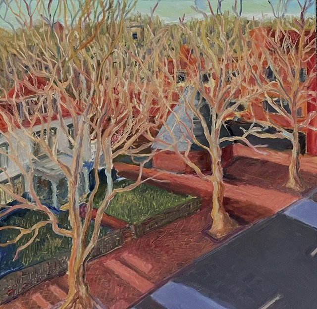 Plane Trees, Old Georgetown Road 18x18 Oil