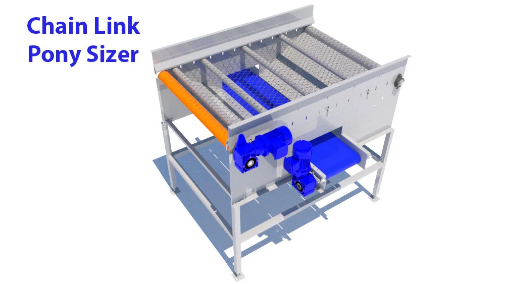 Chain Link Pony Sizer.jpg