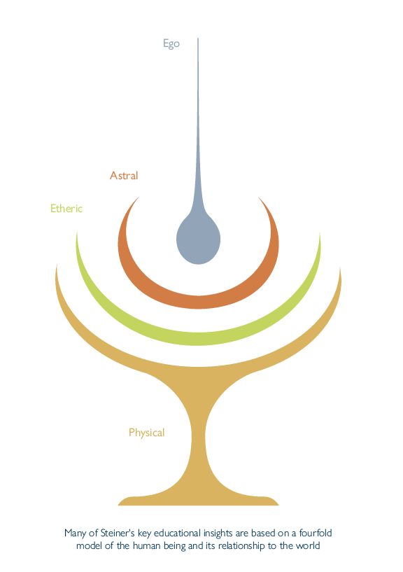 Steiner Educational Insights — The Field Centre