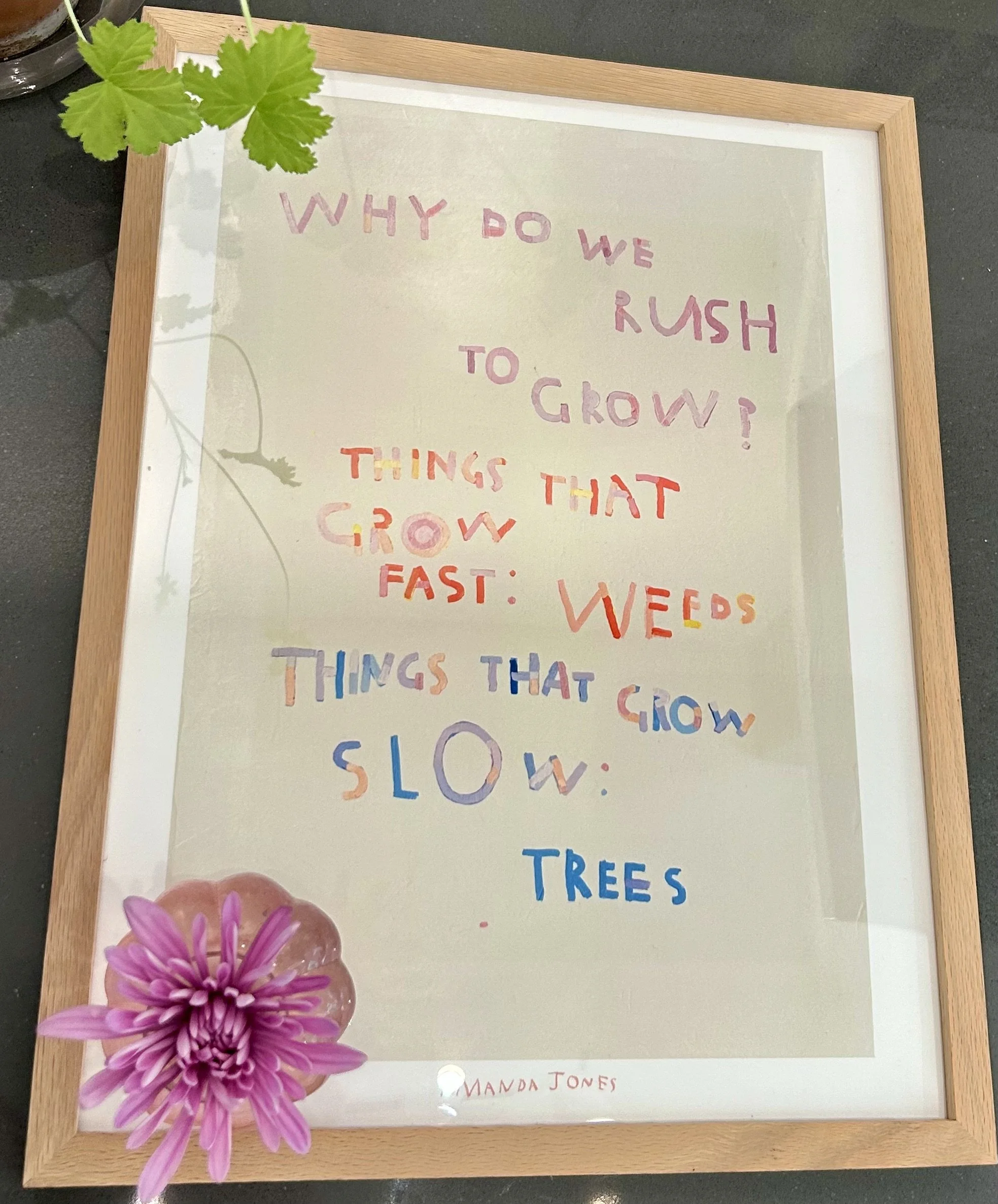 A little birthday reflection