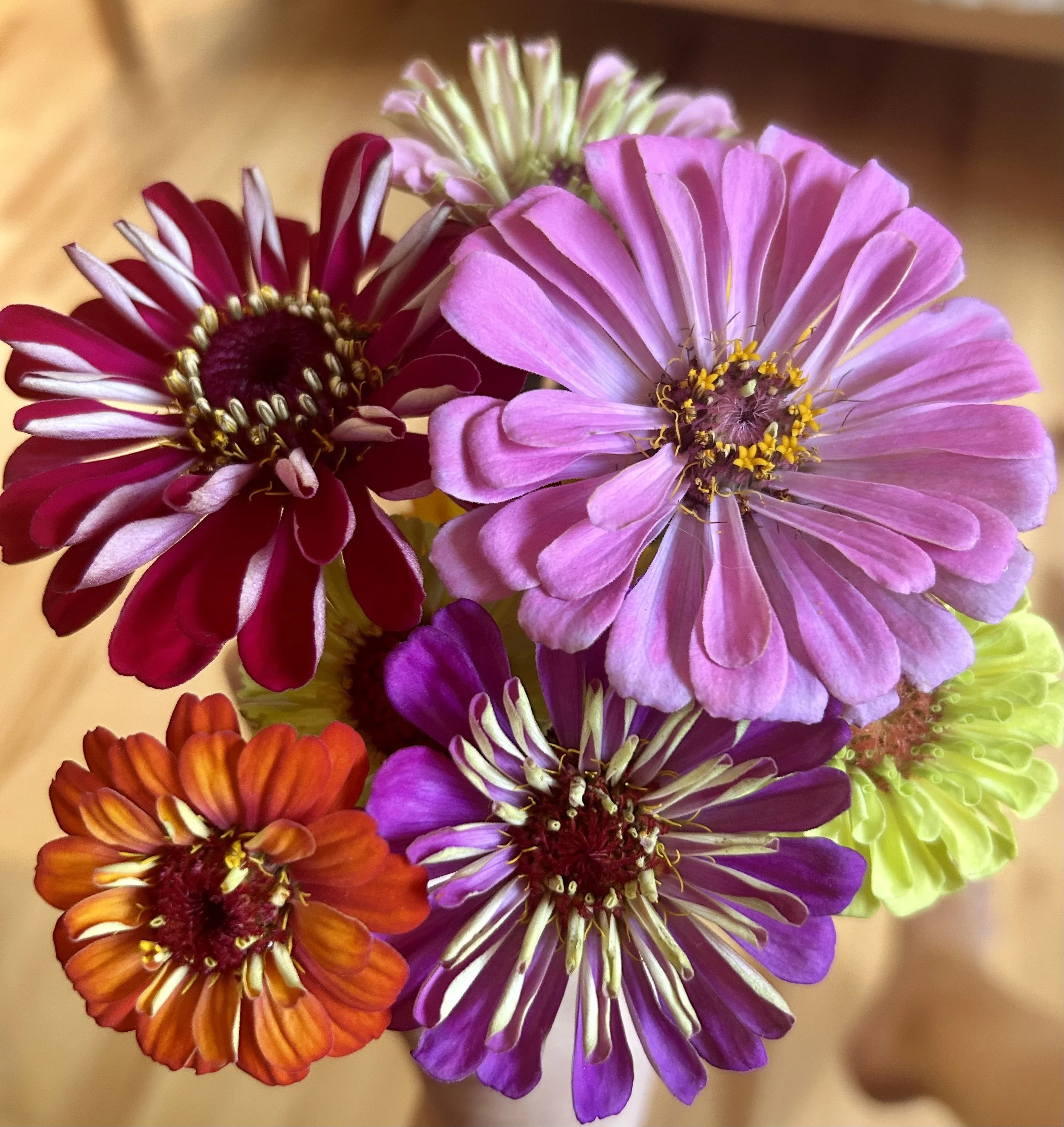 Saying yes to what matters most