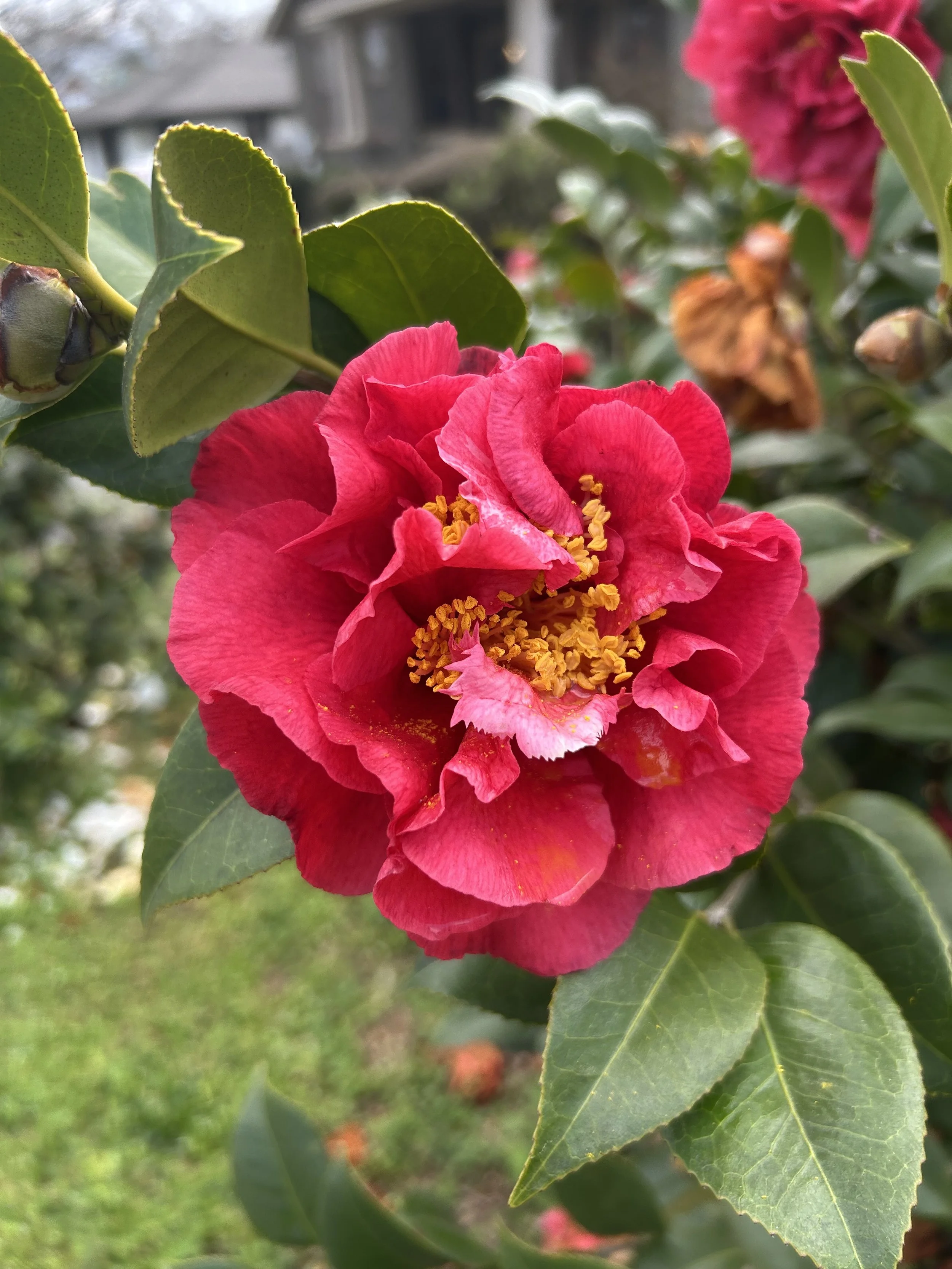 When joy and grief sit side by side