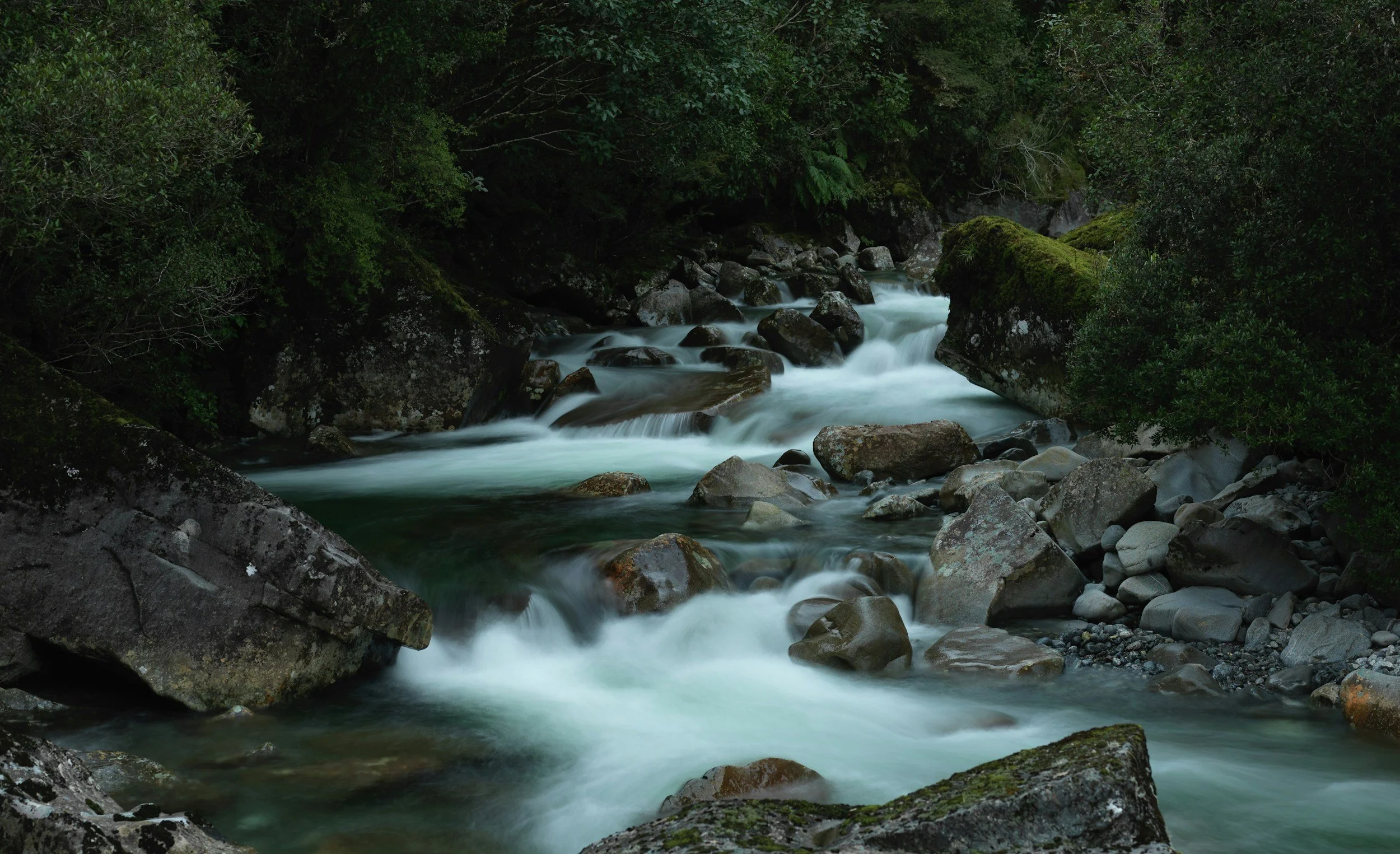 Field Notes from The Second River