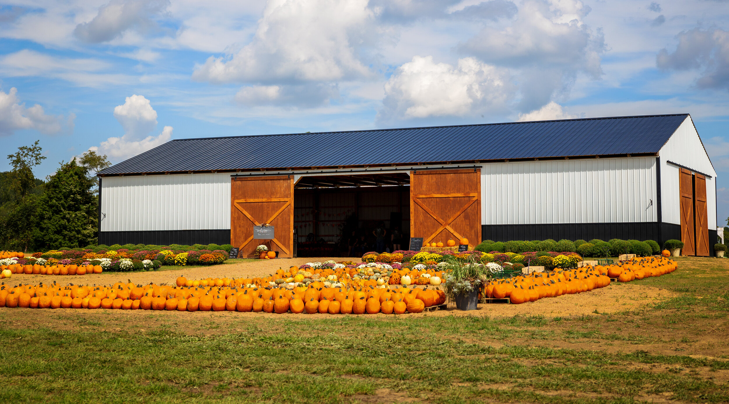 Kindred Ridge Farms