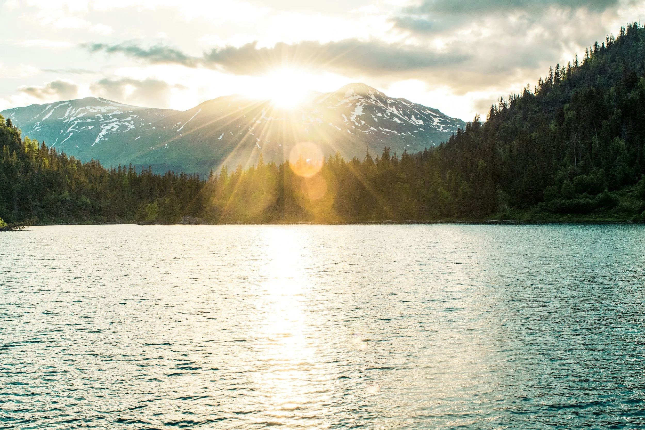 What Anchorage Looks Like in June: Wildlife, trails, and the start of an Alaska summer