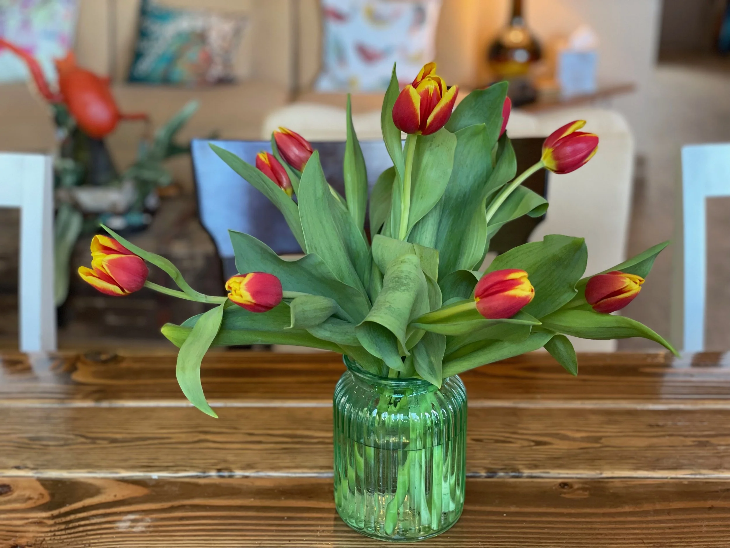 Tulips on Kitchen Table.jpeg