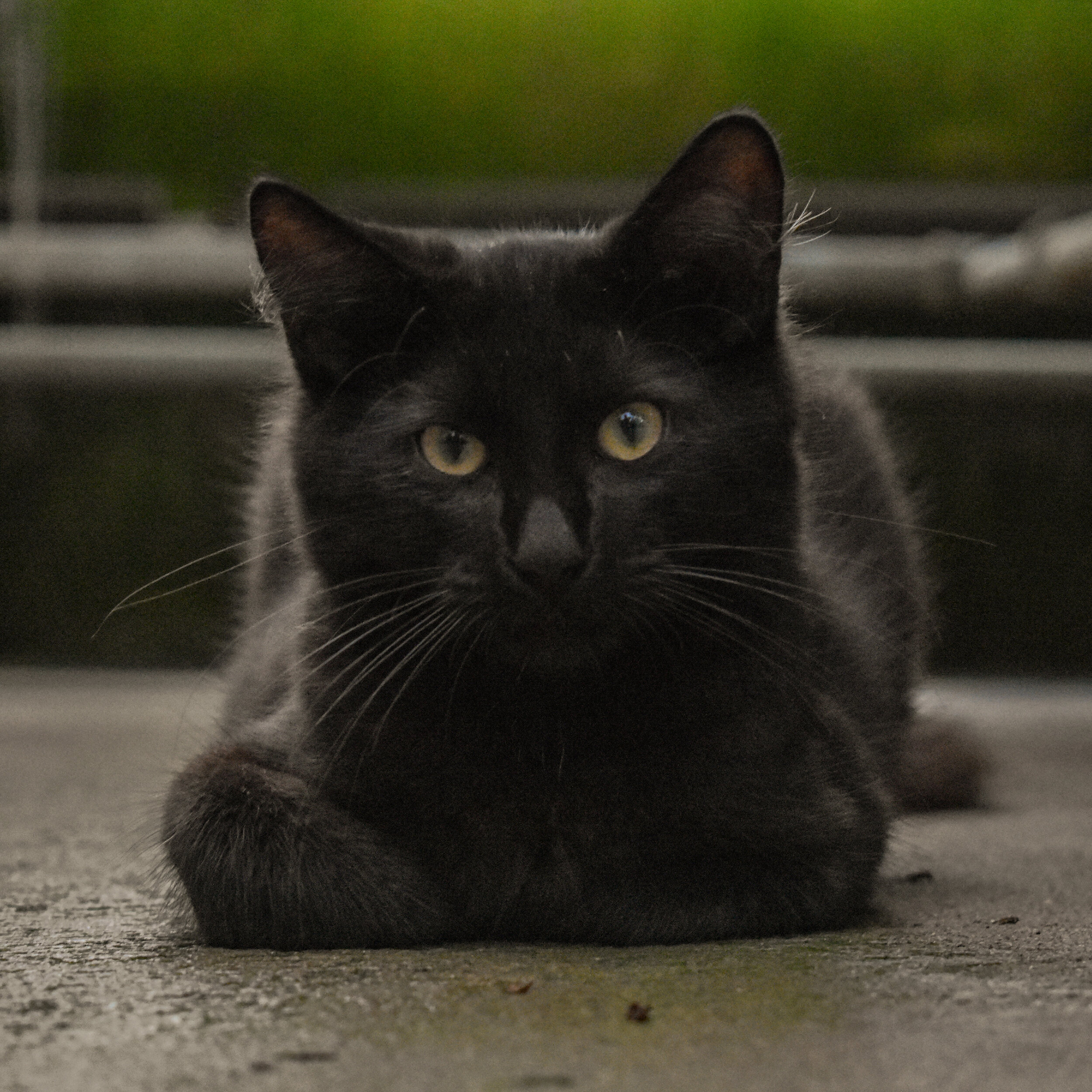 DSC_0318.jpg